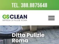 Ditta di pulizie Roma