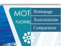 Motori marini Suzuki