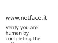 NetFace