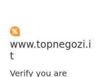 Top Negozi - Guida Shopping online