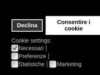 Noleggio con autista