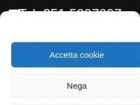 ITALIA INVESTIGAZIONI