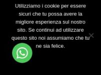Noleggio imbarcazioni con patente