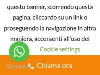 agenzia investigativa