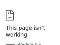 Ptfe-Felis