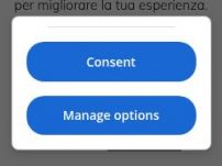 Network del Cilento, il Cilento a portata di click