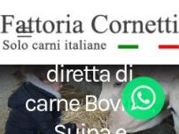 S.S.A. Cornetti Alessandro e F.lli