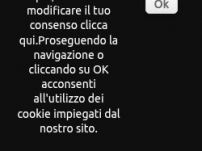 Negozio web. RA.MO. Industriale