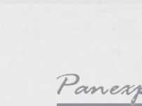 PANEXPORT ITALIA