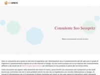SeoSpritz Consulente seo