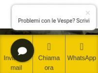 Rimozione Nidi di Vespe