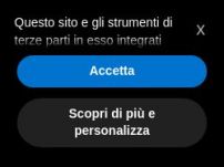 Auto-vip – Concessionari Renault Torino