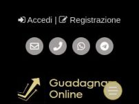 Guadagnare Online