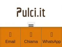 Disinfestazione Pulci
