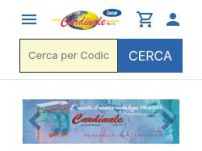 Cardinale Group srl (Dianboiler)