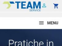Team Service